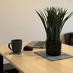 Vibrant Cosy 2 Bedroom Apartment