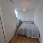 Amazing Abodes