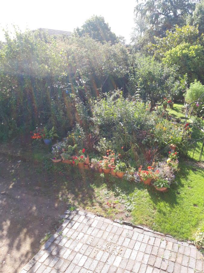 Rosedale Guest house Coventry