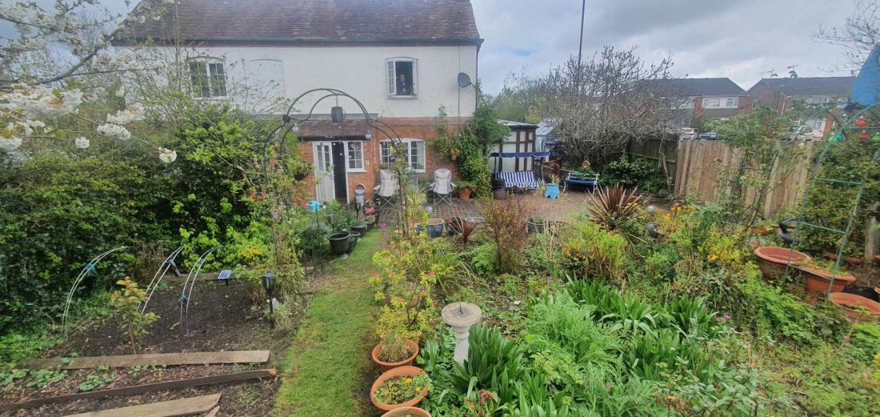 Guest house Rosedale