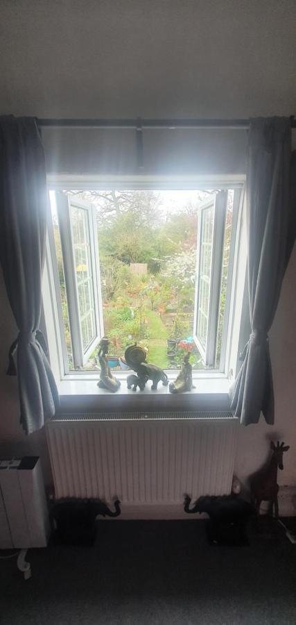 Rosedale Guest house *