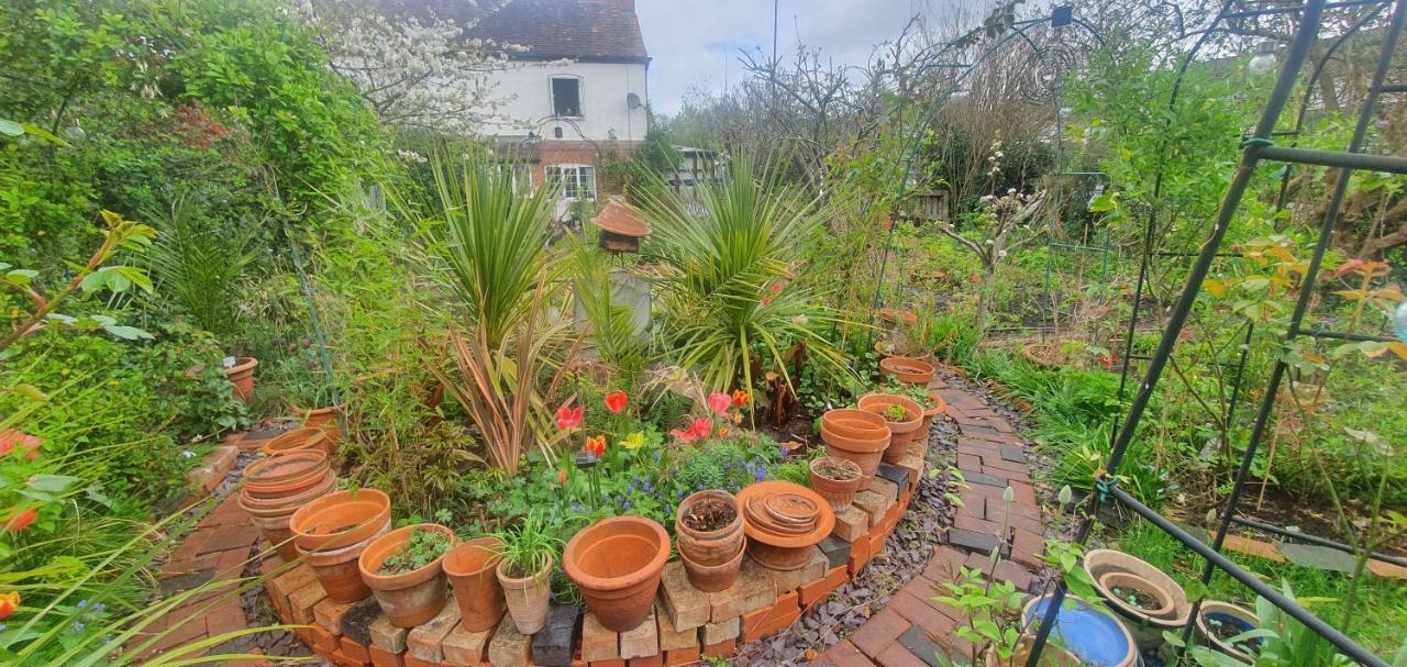 Guest house Rosedale Coventry