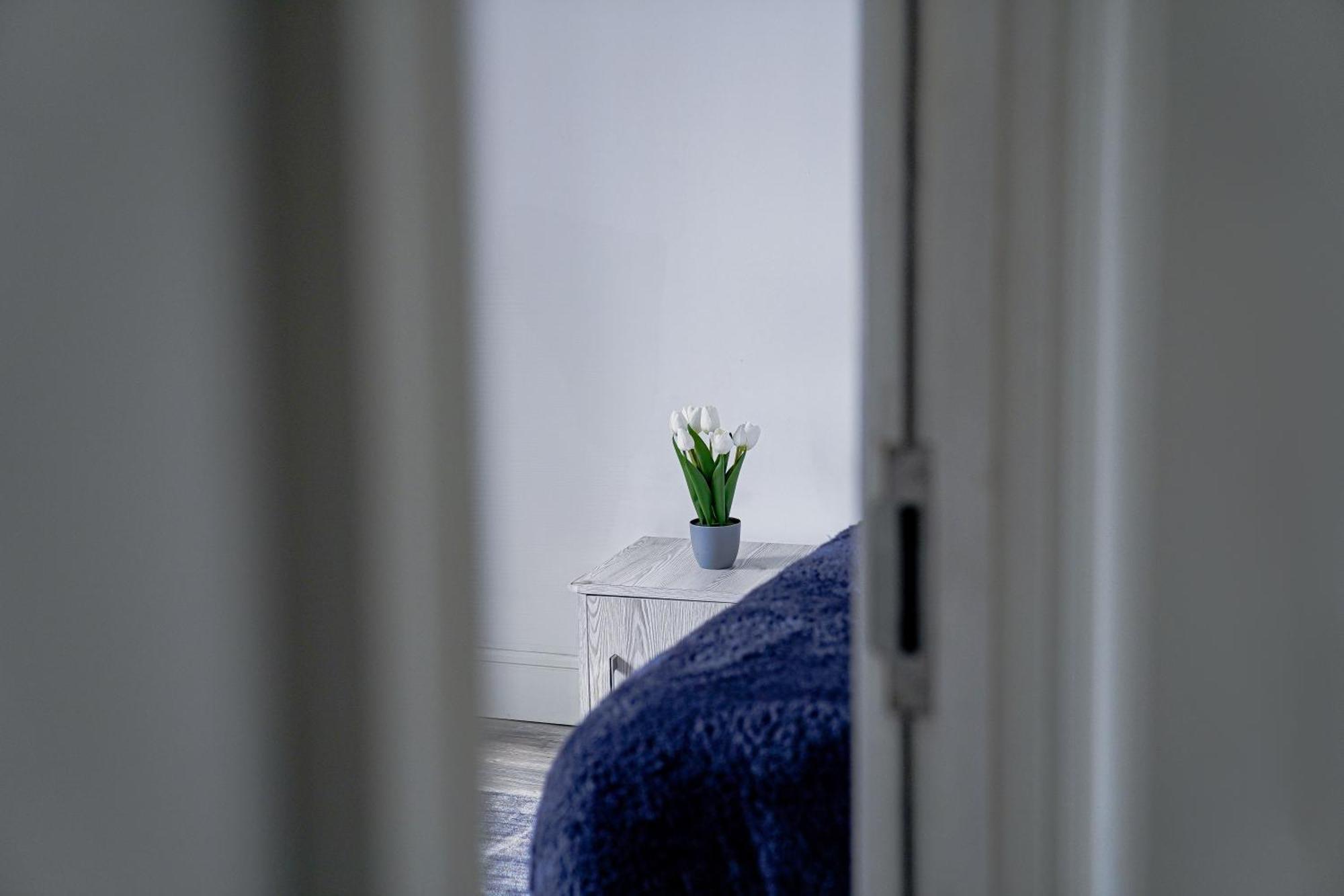 Hiltop 2bed Apartment, Near Centre, Sleeps 4 With Parking Apartamento