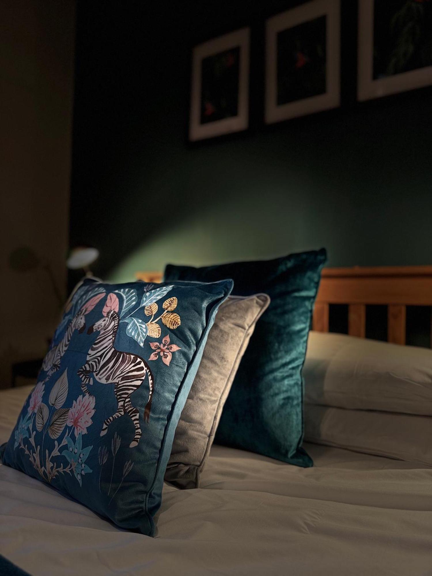 Vibrant Cosy 2 Bedroom