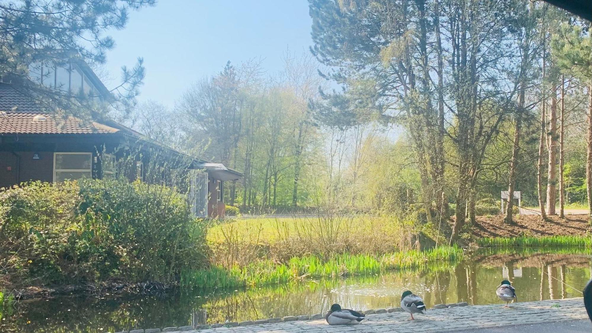 Cannon Village- Elegance & Comfort By Cannon Park , A Historic Retreat Next To The Of Warwick ,free Parking ,3 Bedrooms ,sleeps 9