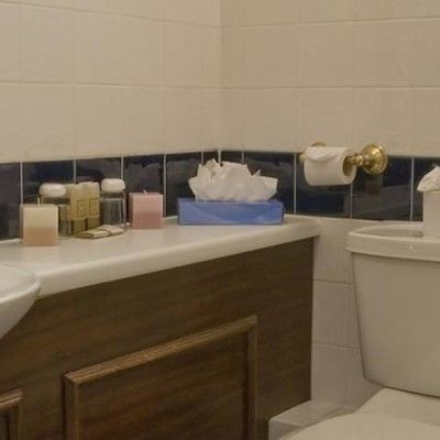 Hotel Britannia 3*