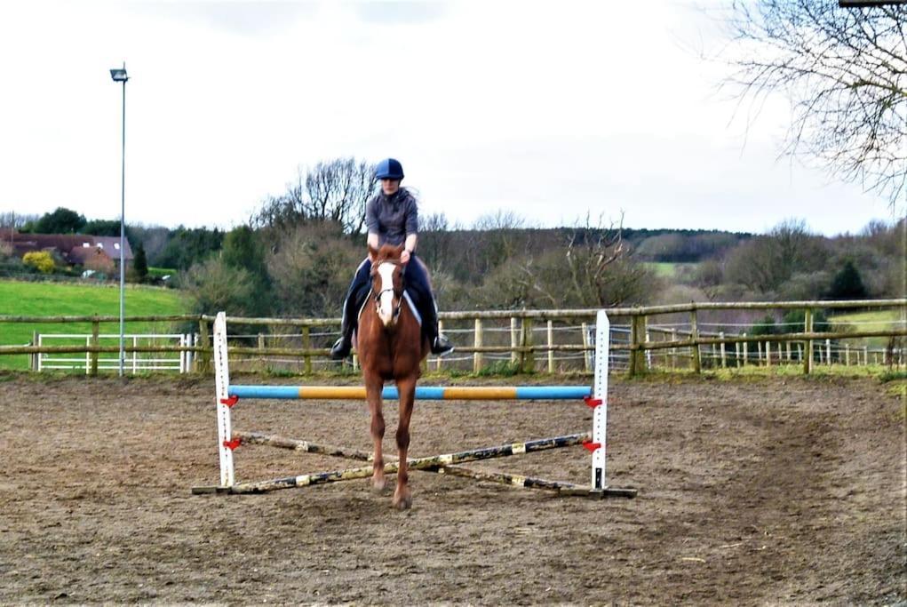 Hillfields Farm Barn - A Rural Equestrian Escape Apartment